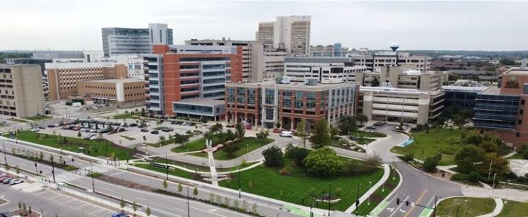 What It Takes to Get Into Medical School: Your Essential Guide to Prerequisites